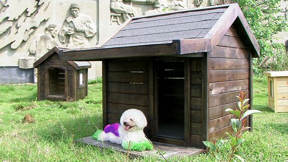 tn_hardoly-dog-house-Outdoor-11_01.jpg