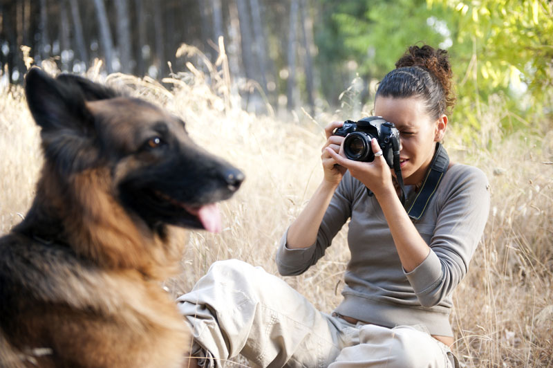 pet-photography.jpg