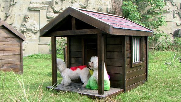 tn_hardoly-dog-house-Outdoor-10_02.jpg