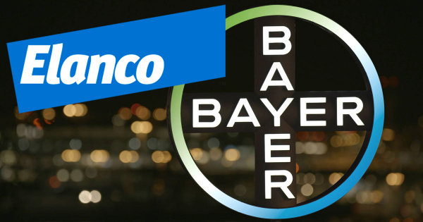 bayer-elanco-600x315.png