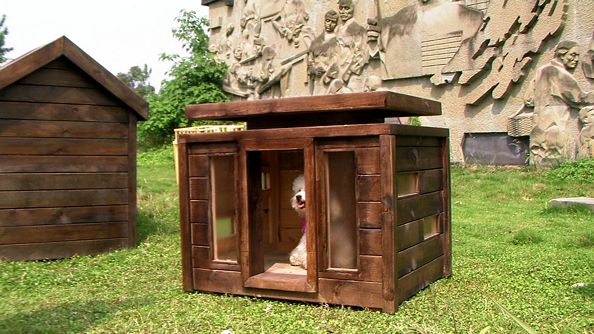 tn_hardoly-dog-house-Indoor-03_01.jpg