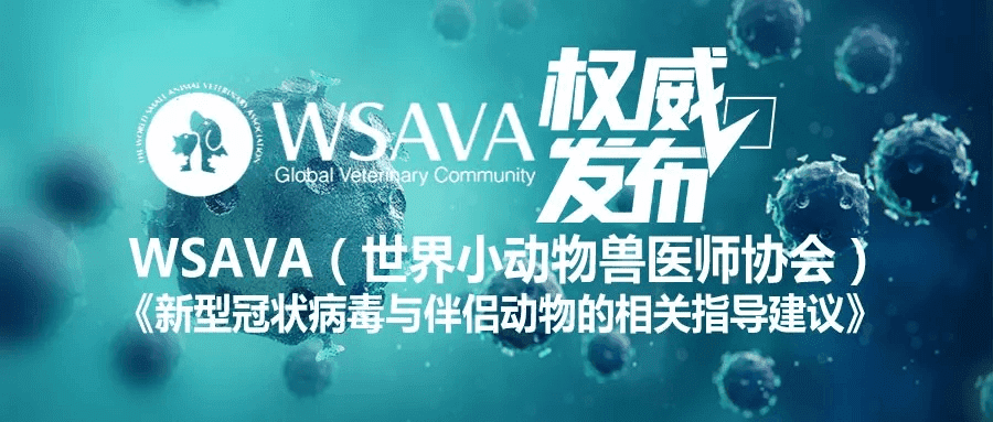 WSAVA  2019-nCoV