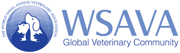 wsava-logo.jpg