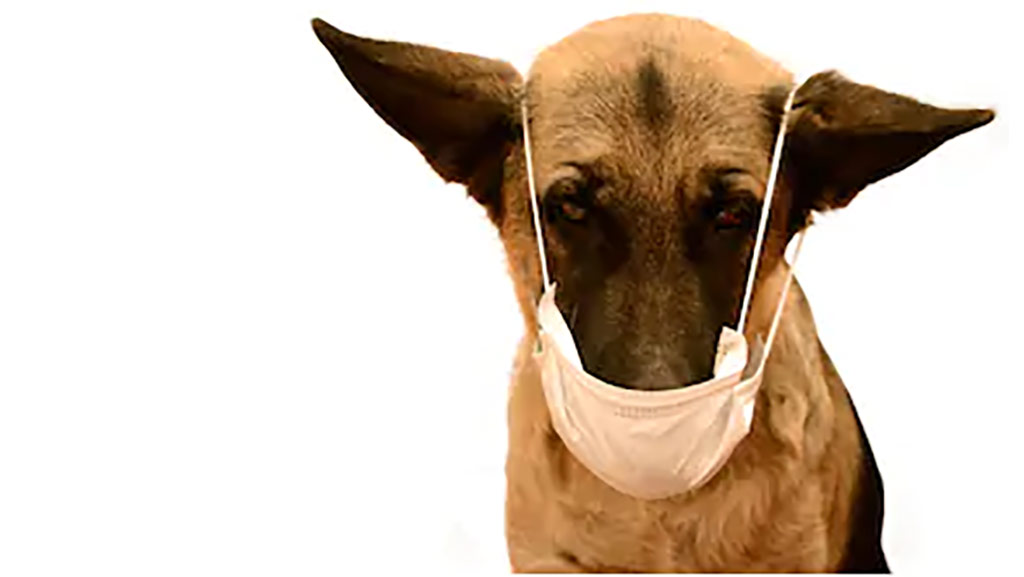 dog-medical-mask-isolated-new-260nw-1629956110.jpg