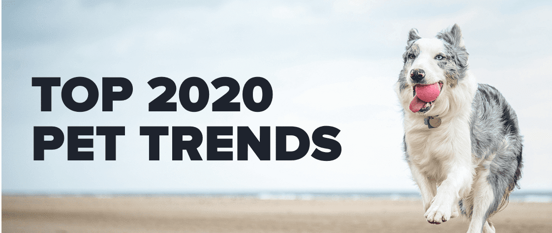 Top-2020-Pet-Trends-Header-1.png