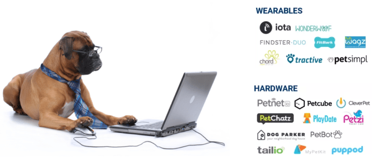 pet-tech-banner-shot-768x319.png