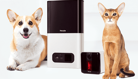 petcube-smart-connected-pet.png