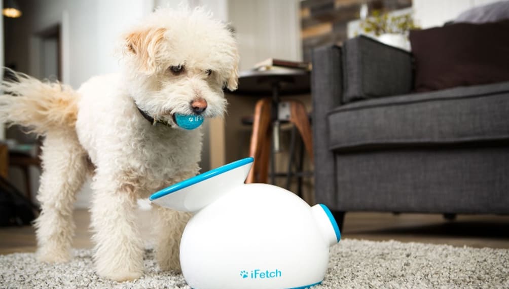 ifetch-pet-toy-automatic-launcher