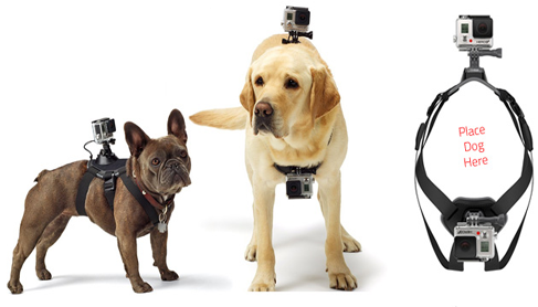 go-pro-fetch-video-harness.png