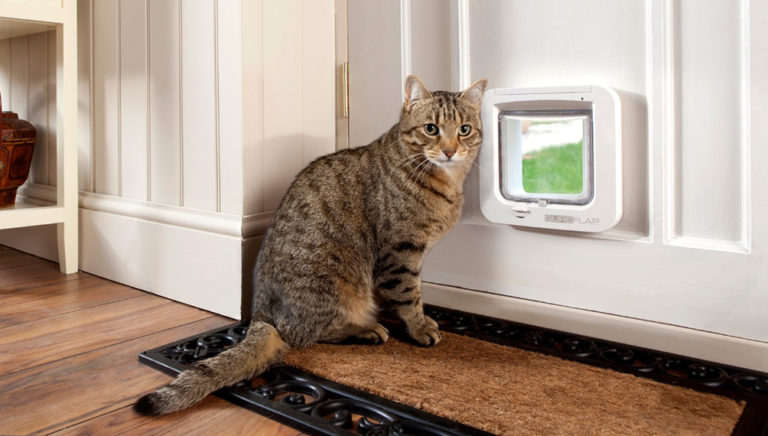 Pet-Tech-Smart-Pet-Door-768x436.jpg