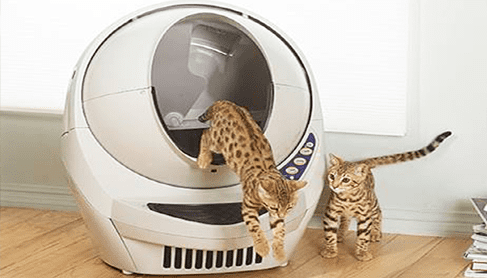 litter-robot-automatic-cat-.png