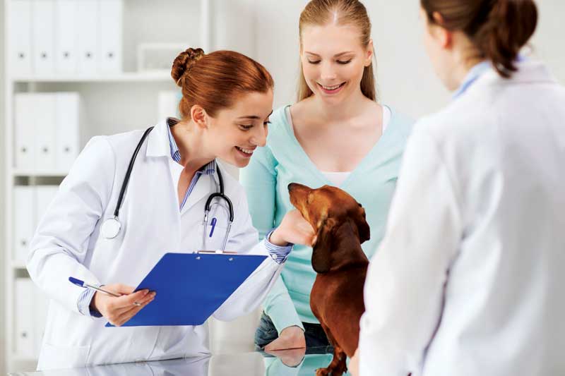 bigstock-medicine-pet-care-and-people-132409853.jpg