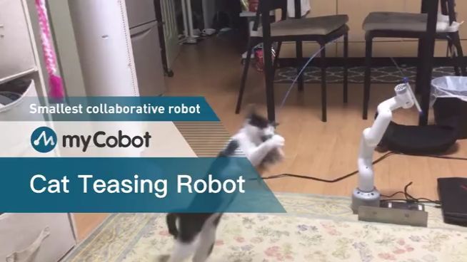 myCobot & Cats