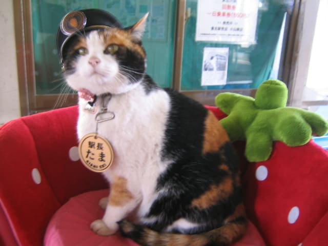 Station-Master_Tama.jpg