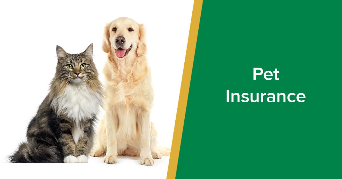 parkside-vets-pet-insurance-fb.jpg